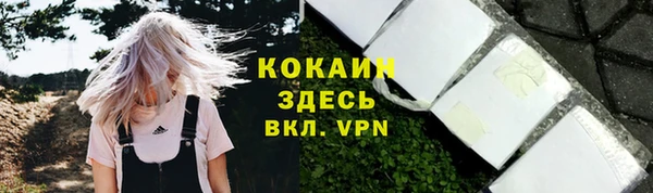 хмурый Михайловск