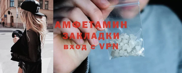 шишки Мегион