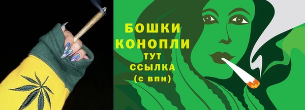 сатива Медногорск