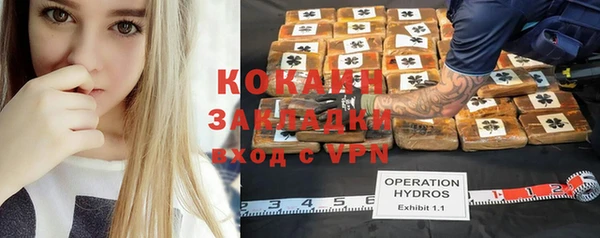 хмурый Михайловск