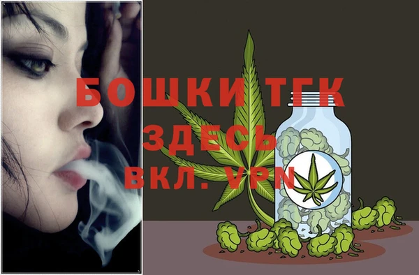 сатива Медногорск