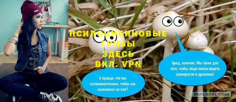 Псилоцибиновые грибы MAGIC MUSHROOMS  наркота  Краснокамск 