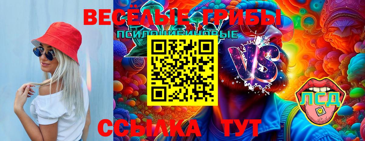 Галлюциногенные грибы GOLDEN TEACHER Краснокамск